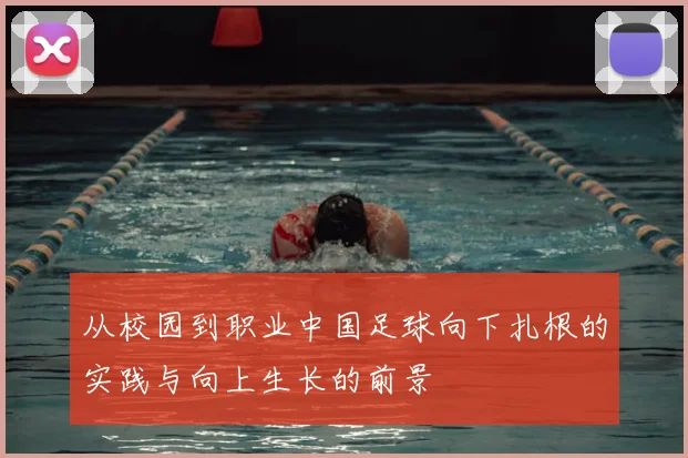 从校园到职业中国足球向下扎根的实践与向上生长的前景