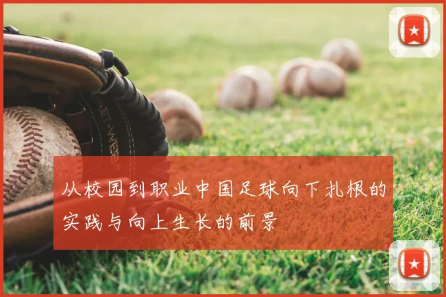 从校园到职业中国足球向下扎根的实践与向上生长的前景