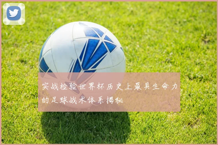 实战检验世界杯历史上最具生命力的足球战术体系揭秘